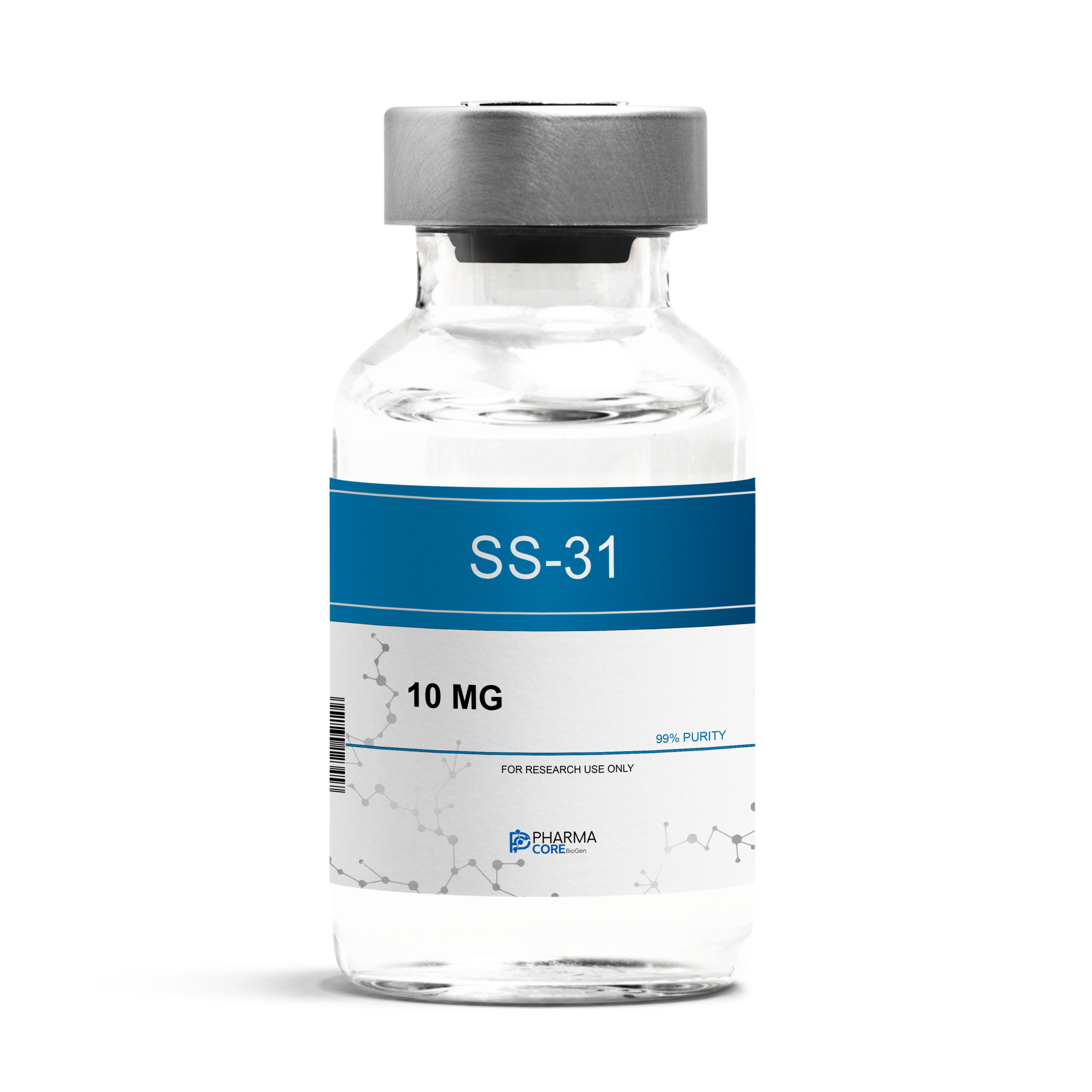 SS-31-scaled-1.png